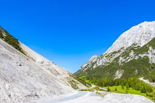 Dağ ve Alp Tepesi 'ndeki yollar dağlar ve kayalar yeşil tarlalarla kaplı manzaralar ormanlar köknar ağaçları ve Alpler' deki mavi gökyüzü Tyrol Avusturya.