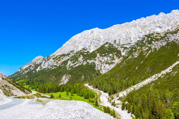 Dağ ve Alp Tepesi 'ndeki yollar dağlar ve kayalar yeşil tarlalarla kaplı manzaralar ormanlar köknar ağaçları ve Alpler' deki mavi gökyüzü Tyrol Avusturya.