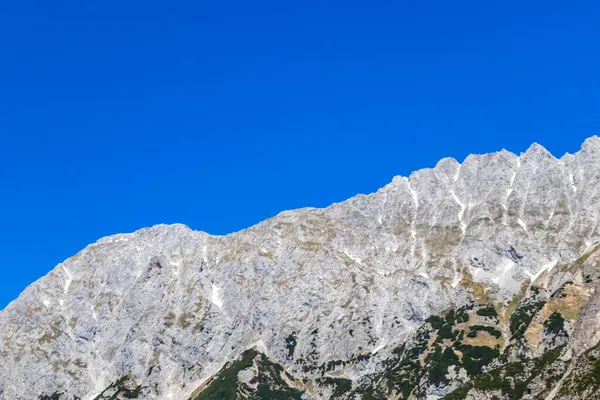 Dağ ve Alp Tepesi manzara dağları ve kayalar yeşil tarlaları olan manzaralar daha az orman ve köknar ağaçları Alpler Imst Tyrol Avusturya 'da kayalık doğa ve mavi gökyüzü.