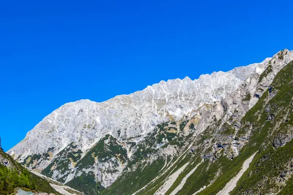 Dağ ve Alp tepeleri manzara dağları ve kayalar yeşil tarlalar ormanlar köknar ağaçları doğa ve mavi gökyüzü Alp Imst Tyrol Avusturya.