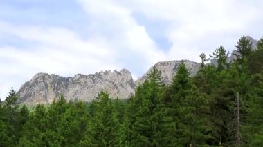Saeugling Dağ ve Alp Tepesi 'nin etrafındaki manzara dağları ve kayalıklar yeşil tarlalı manzara ormanı köknar ağaçları ve Alpler' deki mavi gökyüzü Tyrol Avusturya.