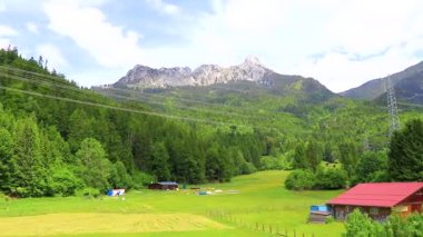 Saeugling Dağ ve Alp Tepesi 'nin etrafındaki manzara dağları ve kayalıklar yeşil tarlalı manzara ormanı köknar ağaçları ve Alpler' deki mavi gökyüzü Tyrol Avusturya.