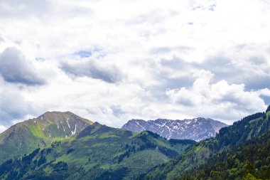 Dağ ve Alp Tepesi manzara dağları ve kayalar yeşil tarlalarıyla manzara ormanı köknar ağaçları doğa ve Alpler 'deki bulutlu mavi gökyüzü Tyrol Avusturya.