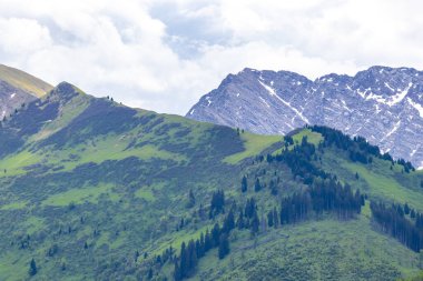 Dağ ve Alp Tepesi manzara dağları ve kayalar yeşil tarlalarıyla manzara ormanı köknar ağaçları doğa ve Alpler 'deki bulutlu mavi gökyüzü Tyrol Avusturya.