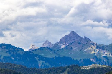 Dağ ve Alp Tepesi manzara dağları ve kayalar yeşil tarlalarıyla manzara ormanı köknar ağaçları doğa ve Alpler 'deki bulutlu mavi gökyüzü Tyrol Avusturya.