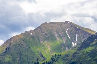 Dağ ve Alp Tepesi manzara dağları ve kayalar yeşil tarlalarıyla manzara ormanı köknar ağaçları doğa ve Alpler 'deki bulutlu mavi gökyüzü Tyrol Avusturya.