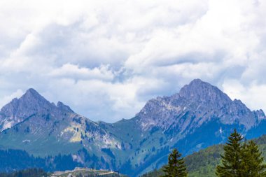 Dağ ve Alp Tepesi manzara dağları ve kayalar yeşil tarlalarıyla manzara ormanı köknar ağaçları doğa ve Alpler 'deki bulutlu mavi gökyüzü Tyrol Avusturya.