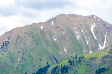 Dağ ve Alp Tepesi manzara dağları ve kayalar yeşil tarlalarıyla manzara ormanı köknar ağaçları doğa ve Alpler 'deki bulutlu mavi gökyüzü Tyrol Avusturya.