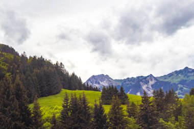 Dağ ve Alp Tepesi manzara dağları ve kayalar yeşil tarlalarıyla manzara ormanı köknar ağaçları doğa ve Alpler 'deki bulutlu mavi gökyüzü Tyrol Avusturya.