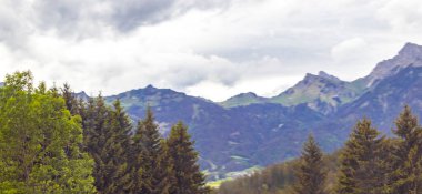 Dağ ve Alp Tepesi manzara dağları ve kayalar yeşil tarlalarıyla manzara ormanı köknar ağaçları doğa ve Alpler 'deki bulutlu mavi gökyüzü Tyrol Avusturya.