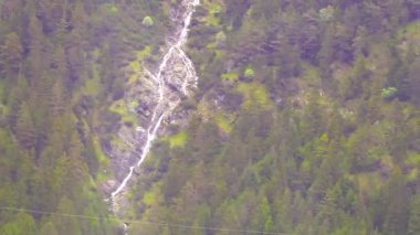 Dağlarda şelale Alplerde orman arasında Reutte Tyrol Avusturya.