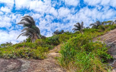 Rio de Janeiro Eyaleti Rio de Janeiro Brezilya 'da Dağ Dağları Tepeleri Kayalıkları Yağmur Ormanı ve Mavi Bulutlu Gökyüzü Manzarası.