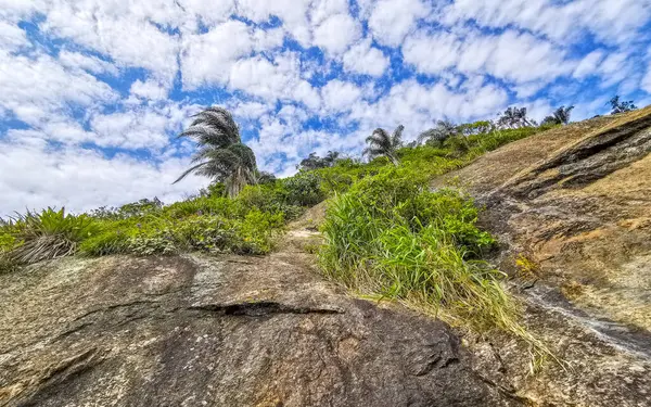 Rio de Janeiro Eyaleti Rio de Janeiro Brezilya 'da Dağ Dağları Tepeleri Kayalıkları Yağmur Ormanı ve Mavi Bulutlu Gökyüzü Manzarası.