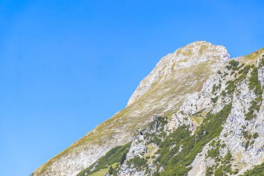 Dağ ve Alp Tepesi manzara dağları ve kayalar yeşil tarlaları olan manzaralar daha az orman ve köknar ağaçları Alpler Imst Tyrol Avusturya 'da kayalık doğa ve mavi gökyüzü.
