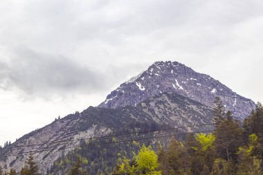 Dağ ve Alp Tepesi manzara dağları ve kayalar yeşil tarlalarıyla manzara ormanı köknar ağaçları doğa ve Alpler 'deki bulutlu mavi gökyüzü Tyrol Avusturya.