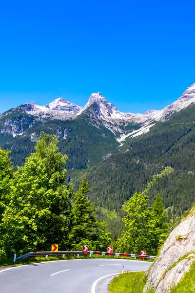 Dağ ve Alp Tepesi 'ndeki yollar dağlar ve kayalar yeşil tarlalarla kaplı manzaralar ormanlar köknar ağaçları ve Alpler' deki mavi gökyüzü Tyrol Avusturya.