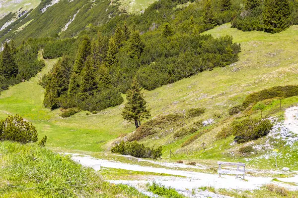 Dağ ve Alp tepeleri manzara dağları ve kayalar yeşil tarlalar ormanlar köknar ağaçları doğa ve mavi gökyüzü Alp Imst Tyrol Avusturya.