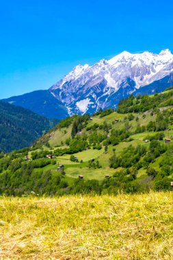 Dağ ve Alp tepeleri dağları, kayalar ve tepeler, Lechtal Alpleri, yeşil çayır köyü ormanı, kar ve mavi gökyüzü, Fliess Landeck Tyrol Avusturya 'da..