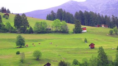 Dağ ve Alp Tepesi dağları kayalar ve tepeler yeşil çayırlar köy ormanı köknar ağaçları kulübeleri ve Fliess Landeck Tyrol Avusturya 'da mavi gökyüzü..