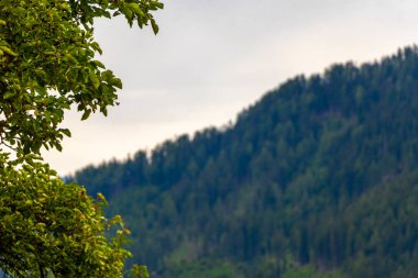 Dağ ve dağlık arazi dağları kayalar ve tepeler yeşil çayırlar köy ormanı köknar ağaçları ve bulutlu mavi gökyüzü Fliess Landeck Tyrol Avusturya.