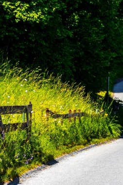 Alplerdeki bahçe çiftliğinde çiçekli çitlerle ve çitlerle çevrili dağlık çayır Alpsiz Landeck Tyrol Avusturya.