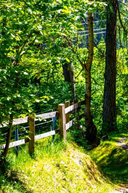 Alplerdeki bahçe çiftliğinde çiçekli çitlerle ve çitlerle çevrili dağlık çayır Alpsiz Landeck Tyrol Avusturya.