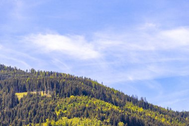 Dağ ve dağlık arazi dağları kayalar ve tepeler yeşil çayırlar köy ormanı köknar ağaçları ve bulutlu mavi gökyüzü Fliess Landeck Tyrol Avusturya.