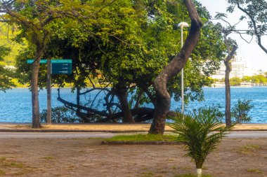 Rio de Janeiro Eyaleti Rio de Janeiro Brezilya 'da Mavi Turkuaz Su Palmiyeleri ve Beyaz Kumsal Kumu ile Barra da Tijuca Plajı Tropikal Cenneti.