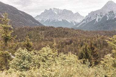 Almanların en büyük dağ manzarası Zugspitze dağ manzarası orman tepeleri, kar bulutları ve Alpler 'deki dağlar Biberwier Reutte Tyrol Avusturya.