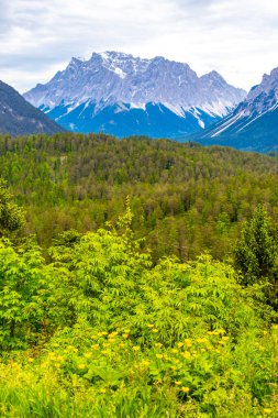 Almanların en büyük dağ manzarası Zugspitze dağ manzarası orman tepeleri, kar bulutları ve Alpler 'deki dağlar Biberwier Reutte Tyrol Avusturya.