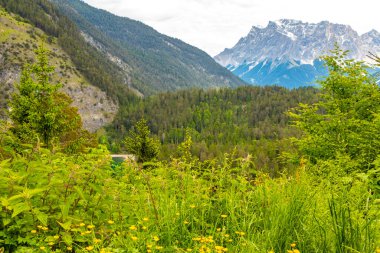 Almanya 'nın en büyük dağının panoramik manzarası Zugspitze alp manzarası turkuvaz rengi Blindsee gölü orman tepeleri ve Alpler' deki dağlar Biberwier Reutte Tyrol Avusturya.