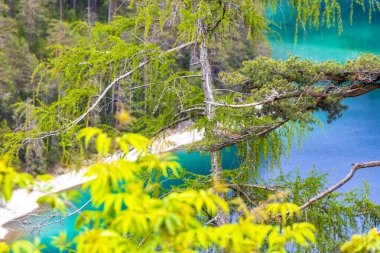 Turkuaz mavisi, Blindsee Gölü nehir ormanı tepeleri ve dağları Alpler 'deki Zugspitze dağlarının en büyük manzarası Biberwier Reutte Tyrol Avusturya' daki Zugspitze dağı..