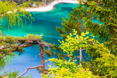 Turkuaz mavisi, Blindsee Gölü nehir ormanı tepeleri ve dağları Alpler 'deki Zugspitze dağlarının en büyük manzarası Biberwier Reutte Tyrol Avusturya' daki Zugspitze dağı..