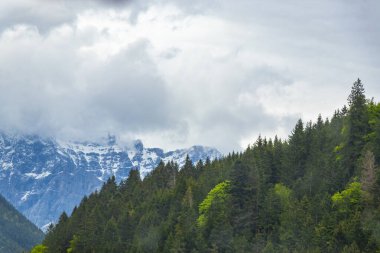 Almanların en büyük dağ manzarası Zugspitze dağ manzarası orman tepeleri, kar bulutları ve Alpler 'deki dağlar Biberwier Reutte Tyrol Avusturya.