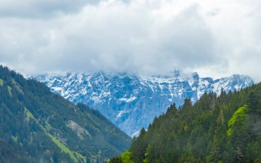 Almanların en büyük dağ manzarası Zugspitze dağ manzarası orman tepeleri, kar bulutları ve Alpler 'deki dağlar Biberwier Reutte Tyrol Avusturya.