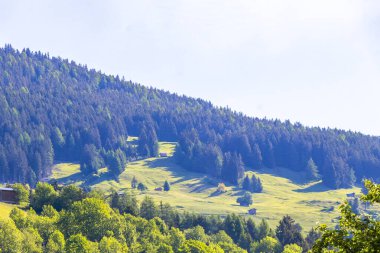 Dağ ve Alp Tepesi dağları kayalar ve tepeler yeşil çayırlar köy ormanı köknar ağaçları kulübeleri ve Fliess Landeck Tyrol Avusturya 'da mavi gökyüzü..