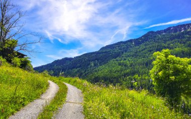 Dağ ve Alp Dağları 'ndaki patika caddeleri kayalar ve tepeler yeşil çayır çayırları Fliess Landeck Tyrol Avusturya' daki köy orman evleri.