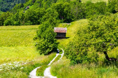 Dağ ve Alp Tepesi manzara dağları ve tepeler Alpler 'in panoramasını tarla ormanı ve Fliess Landeck Austria' daki küçük ahşap kulübe evleri ile birlikte..