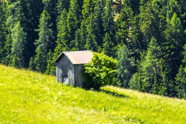 Dağ ve Alp Tepesi manzara dağları ve tepeler Alpler 'in panoramasını tarla ormanı ve Fliess Landeck Austria' daki küçük ahşap kulübe evleri ile birlikte..