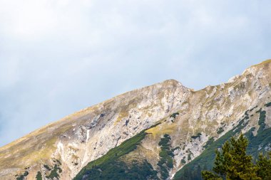 Zugspitze 'deki Marienberg dağının panoramik manzarası yeşil orman tepeleri ve dağlarıyla Alpler Biberwier Reutte Tyrol Avusturya.