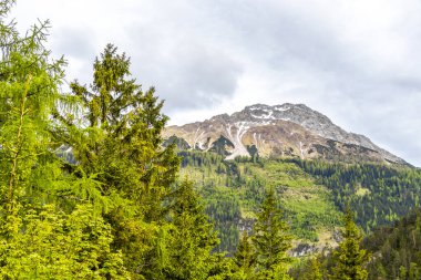 Zugspitze 'deki Marienberg dağının panoramik manzarası yeşil orman tepeleri ve dağlarıyla Alpler Biberwier Reutte Tyrol Avusturya.
