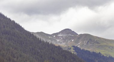 Zugspitze 'deki Marienberg dağının panoramik manzarası yeşil orman tepeleri ve dağlarıyla Alpler Biberwier Reutte Tyrol Avusturya.