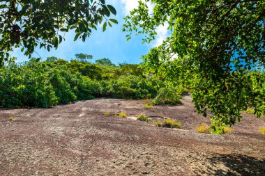 Rio de Janeiro Eyaleti Rio de Janeiro Brezilya 'da Dağ Dağları Tepeleri Kayalıkları Yağmur Ormanı ve Mavi Bulutlu Gökyüzü Manzarası.