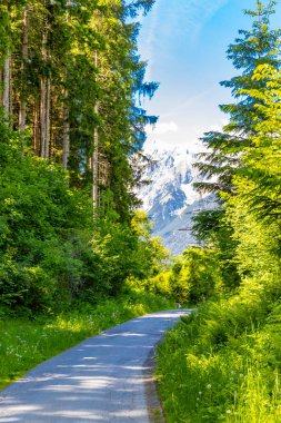 Yol ve patika dağ ve Alp Dağları 'na gidiyor. Kayalar ve tepeler Fliess Landeck Tyrol Avusturya' daki Lechtal Alpleri..