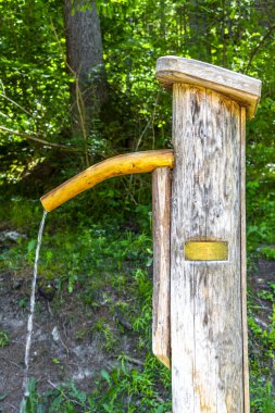 Fliess Landeck Tyrol Avusturya 30. Mayıs 2025 Su Kaynağı Alplerdeki ormanda içme suyu ile birlikte Alpsiz Landeck Tyrol Avusturya.