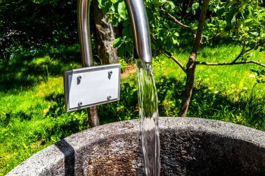 Fliess Landeck Tyrol Avusturya 30. Mayıs 2025 Su Kaynağı Alplerdeki ormanda içme suyu ile birlikte Alpsiz Landeck Tyrol Avusturya.