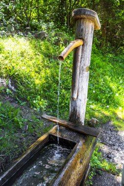 Fliess Landeck Tyrol Avusturya 30. Mayıs 2025 Su Kaynağı Alplerdeki ormanda içme suyu ile birlikte Alpsiz Landeck Tyrol Avusturya.