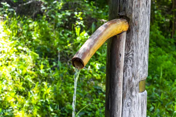 Fliess Landeck Tyrol Avusturya 30. Mayıs 2025 Su Kaynağı Alplerdeki ormanda içme suyu ile birlikte Alpsiz Landeck Tyrol Avusturya.