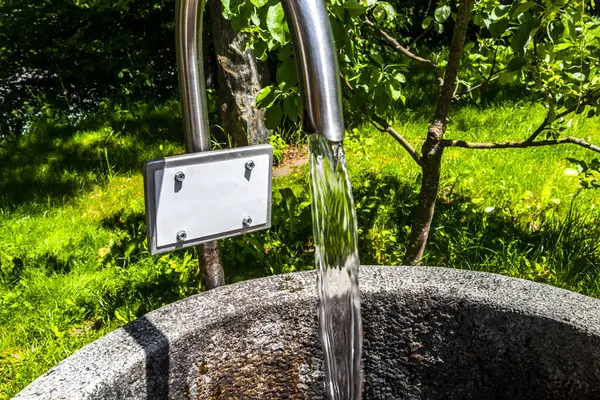 Fliess Landeck Tyrol Avusturya 30. Mayıs 2025 Su Kaynağı Alplerdeki ormanda içme suyu ile birlikte Alpsiz Landeck Tyrol Avusturya.