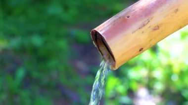 Su Kaynağı Çeşmesi Alpler 'deki ormanda içme suyu ile Landeck Tyrol Avusturya.